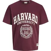 Jack & Jones Camiseta De Manga Curta Harvard Styd