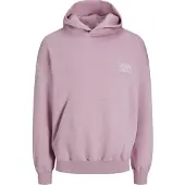 Jack & Jones Moletom Com Capuz Santorini Graphic