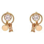 NAEMI Brincos ouro rosa