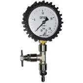 Metalsub Manômetro Medium Pressure Adjustment With Purge 0-25 Bar