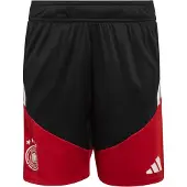 Adidas Calças de desporto 'Deutschland 26 Tiro' vermelho / preto / branco