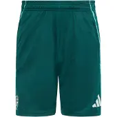 Adidas Calções de Treino Tiro 25 Competition do Arsenal