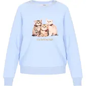 MyMo Pop Sweatshirt 'Pop' bege / azul claro / bordeaux / preto