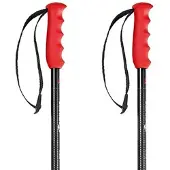 Nordica Bastões Freeride Pro