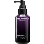Sebastian No.Breaker 100 ml