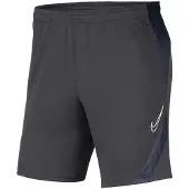 Nike Calções Dri-fit Academy 20