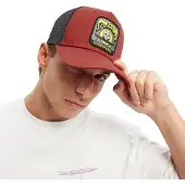 Hydroponic Boné Sb Sk8bob
