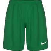Nike Calções Dri-fit Lge Iii