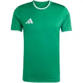 Adidas Camisa funcionais 'Entrada26' verde