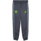 Puma Calças Manchester City Fc King Anthem