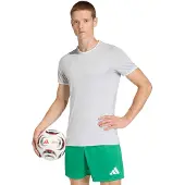 Adidas Camisa funcionais 'Entrada26' cinzento claro / branco