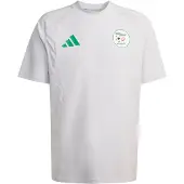 Adidas Camisola de futebol 'Algerien Tiro Travel' cinzento / verde / preto / branco