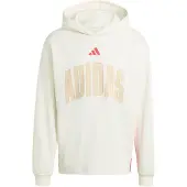 Adidas Moletom Com Capuz Stadium Graphic