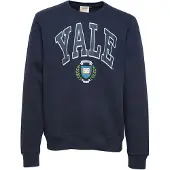 Blend Sweatshirt azul claro / azul escuro / verde / branco