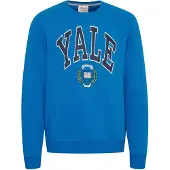 Blend Sweatshirt azul / mistura de cores