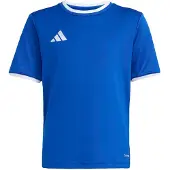 Adidas Camisa funcionais 'ENT26' azul real / branco