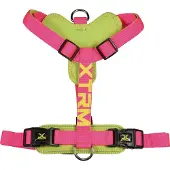 Nayeco Arnês Para Cães X-trm Cronos Neon Flash