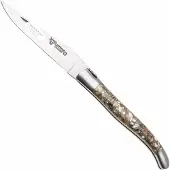 Laguiole En Aubrac Abalone Shell, Brushed Stainless Steel, navalha, 12 cm