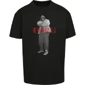 Mister tee Camisa cinzento claro / vermelho / preto / branco