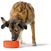 Hunter Pet Comedouro Para Cães Osby Glazed