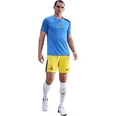 Nike Calças de desporto 'Tottenham Hotspur 2025/2026' amarelo / preto