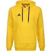 Adidas Moletom Com Capuz Entrada 22