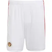 Adidas Calças de desporto 'Ungarn 2026' verde / vermelho / branco