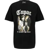 Mister tee Camiseta De Manga Curta Tupac Matw Sepia Oversize