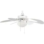 Orbegozo Teto Com Ventilador De Luz