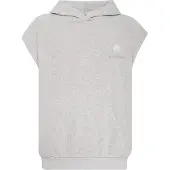Plein sport Sweatshirt acinzentado