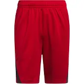 Adidas Calções de Basquetebol 3-Stripes Legends