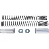 Wirth Federn Molas de garfo progressivas Wilbers GSX 1400