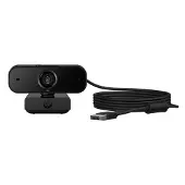 HP Webcam 430