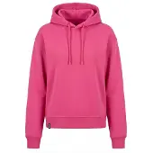 Alife & Kickin Sweatshirt 'DanyaAK P' pitaya