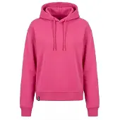 Alife & Kickin Sweatshirt 'DanyaAK A' pitaya