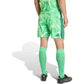 Adidas Calções Tiro26 Competition Goalkeeper