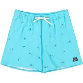 Quiksilver Calção De Banho Stretch Printed Volley 16´´