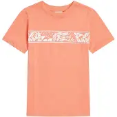 O'Neill Camiseta De Manga Curta Graphic