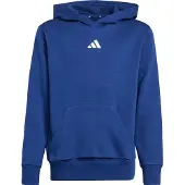 Adidas Moletom Com Capuz Essentials Small Logo