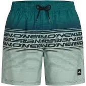 O'Neill Calção De Banho Logo Stripe 16´´