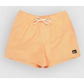 Quiksilver Calção De Banho Everyday Deluxe Volley 15´´