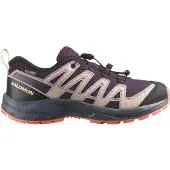 Salomon Sapatos De Caminhada Xa Pro V8 Wp