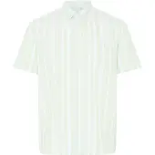 Blend Camisa ' BHAvik ' verde