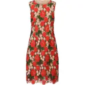 Kraimod Vestido de cocktail verde / rosa / vermelho