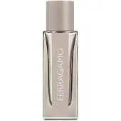 Salvatore Ferragamo Ferragamo Couro Brilhante EDT - 30 ml