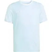 Adidas Camisa funcionais 'Entrada26' azul claro / branco