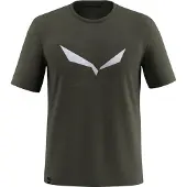 Salewa Camiseta De Manga Curta Solidlogo Dri-release