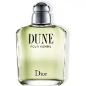 Dior Christian perfume Dune Pour Homme EDT 100 ml