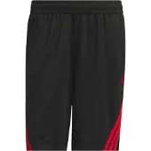 Adidas Calções de Basquetebol 3-Stripes Legends