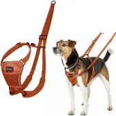 Company of animals Arnês Para Cães Halti No Pull